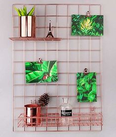 there is a metal rack with pictures on it and plants in vases next to each other