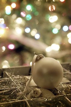 a white ornament sitting on top of a box in front of a christmas tree