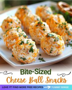 cheese ball snacks on a white plate with the words bite - sized cheese ball snacks