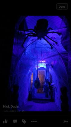 a large spider sitting on top of a white net covered wall next to a doorway