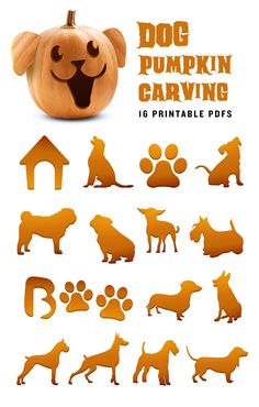 🎃 Get ready to carve up some fun with these pumpkin designs! 🎃 #PumpkinPerfection #SpookySquash #GourdGeek #JackOLanternGoals #PumpkinPower #HalloweenHacks #PumpkinPizzazz #SquashSquad #PumpkinPatchPride #CarvingCraze 🎃 Which one will you try first? 🤔 #PumpkinDesigns Puppy Dog Pumpkin Carving, Pumpkin Carving For Thanksgiving, Dog Jack O Lantern Ideas, Pumpkin Carving Dog Template, Dog Pumkin Carvings, Puppy Pumpkin Carving Ideas, Dog Face Pumpkin Carving, Cute Dog Pumpkin Carving Ideas, Dog Jackolantern Ideas