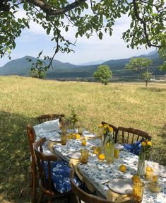 an outdoor table set with plates and glasses under a tree in the middle of a field