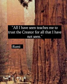 an image of people standing in front of a tree with the quote, all i have seen teaches me to trust the creator for all that i have not seen