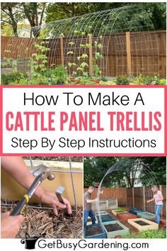 3 images of a trellis arch being built in the middle of a garden Trellis For Garden Bed, How To Build A Vertical Garden, Diy Arch Garden Trellis, Climbing Vegetables Trellis, Cattle Panel Fence Garden, Vegetable Tunnel Ideas, Plants That Need Trellis, Squash Arch Diy, Building A Trellis Diy