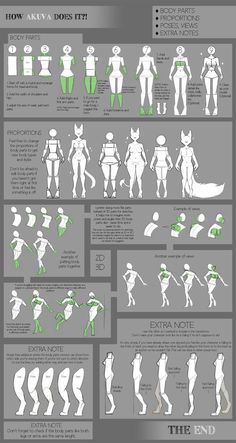 an info sheet showing how to use the body