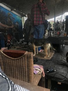 a man standing next to a dog in a cage