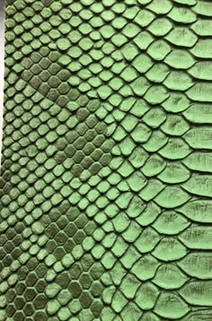 a green snake skin textured up to look like it's being painted on