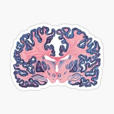 an illustration of the human brain in pink and blue sticker