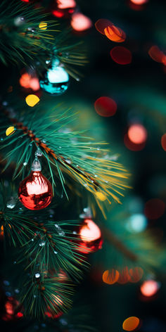 an ornament hanging from the top of a pine tree with colorful lights in the background