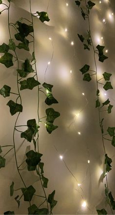 ivy vines with white lights hanging from them