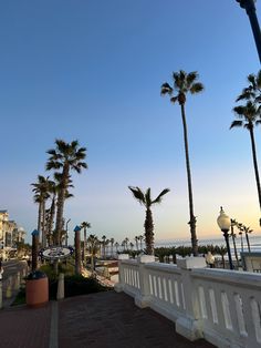 palm trees line the walkway to an oceanfront hotel in california beach, california usa