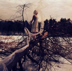 a woman standing on top of a tree branch in the middle of a snow covered field