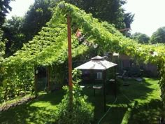 a gazebo in the middle of a yard surrounded by trees