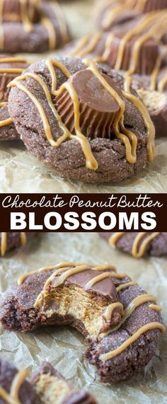 chocolate peanut butter blossom cookies with drizzles on top and the bottom half eaten