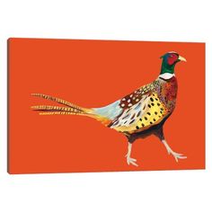 a painting of a pheasant on an orange background canvas print wall art decor