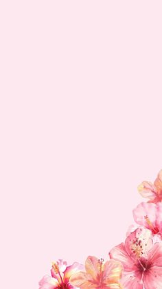 pink flowers on a light pink background with space for text