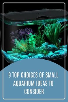 the top choices of small aquarium ideas to consider for your home or business in 2020