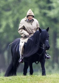 an older man riding on the back of a black horse in a grassy field next to trees