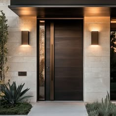 the front door to a modern home with two lights on each side and plants in pots outside