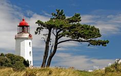 a white and red light house sitting on top of a grass covered hill next to a tree