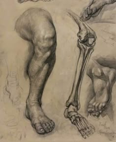 a pencil drawing of two feet and a foot with a bone in the foreground