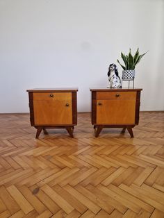 two wooden nightstands sitting on top of a hard wood floor next to a potted plant