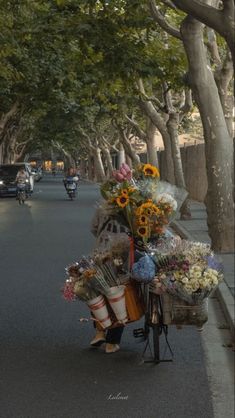 a woman pushing a cart full of flowers down a street next to parked cars and trees