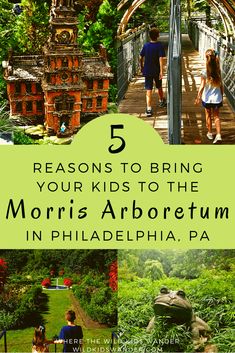 the words 5 reasons to bring your kids to the morri's arboreum in philadelphia, pa