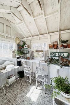 a kitchen with lots of plants on the counter