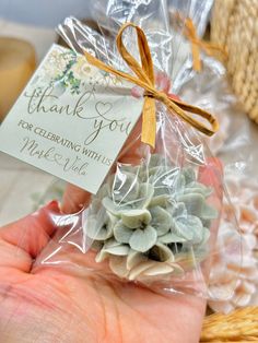 a hand holding a small gift bag filled with succulents and a thank you tag