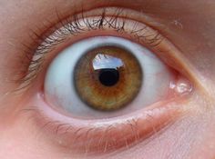 an extreme close up shot of the eye of a child