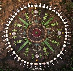 an artistic painting on the ground with shells and stones around it that looks like a flower