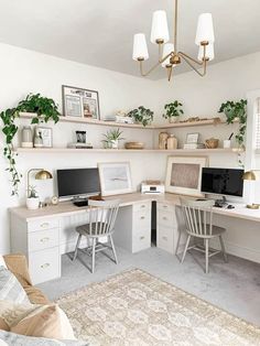 a home office with two computer desks and shelves on the wall above them, along with potted plants