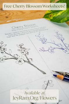 the cherry blossom worksheets are available at jekyram org / flowers com