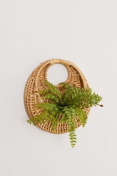 a wicker basket with a fern plant in it