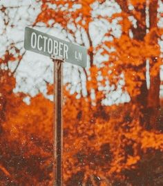 a street sign in front of some trees with orange leaves on the branches behind it