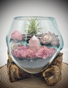 a glass bowl filled with plants and rocks on top of a wooden stump next to a rock