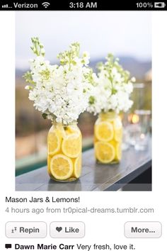 three mason jars filled with lemons and white flowers