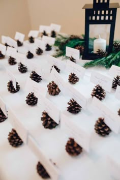 pine cones and place cards are arranged on the table for guests to write their names