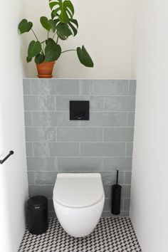 a white toilet sitting inside of a bathroom next to a potted plant on top of a black and white checkered floor