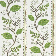 Pomegranate Trail Wallpaper in Green and Chocolate from the Ashdown Collection by Nina Campbell for Osborne & Little Nina Campbell Wallpaper, Green Leaf Wallpaper, Nina Campbell, Drops Patterns, English Country Gardens, Tree Wallpaper, Decorative Borders, Wallpaper Direct, Leaf Wallpaper