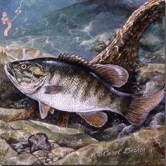 a painting of a fish on the rocks