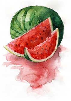 watermelon slice on white background royalty illustration