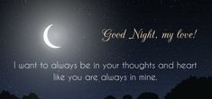 a night sky with the words good night my love