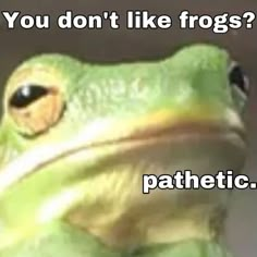 a green frog with the caption you don't like frogs? pathetic