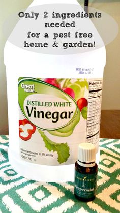 a bottle of vinegar sitting on top of a table next to a container with the words distilled white vinegar