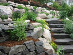 some rocks and plants are growing on the side of a hill with steps leading up to it