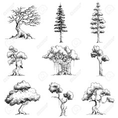 trees and shrubs drawn by hand