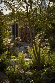 the garden is full of flowers and trees