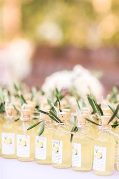 olive oil bottles are lined up on a table